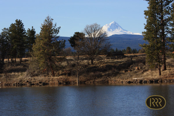 View of Mt. Hood from Mullein Lake